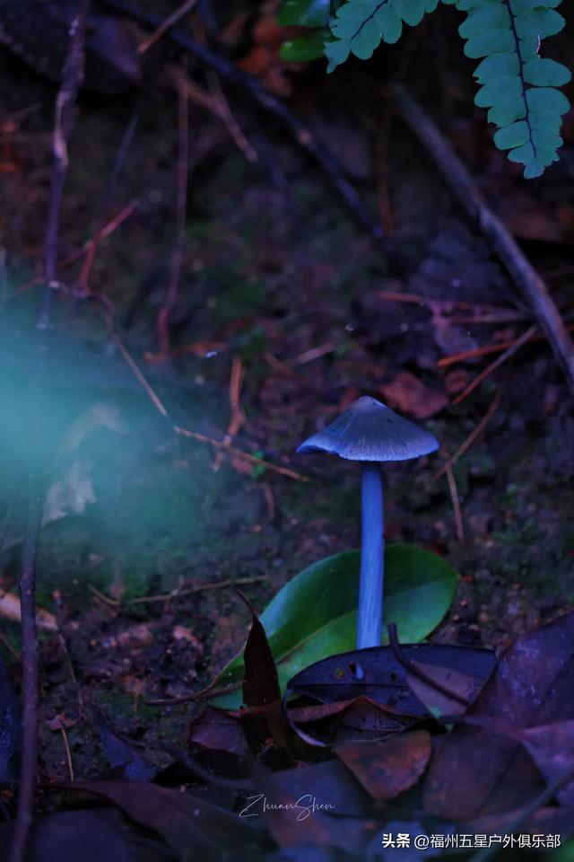 福州户外圣地——白云洞