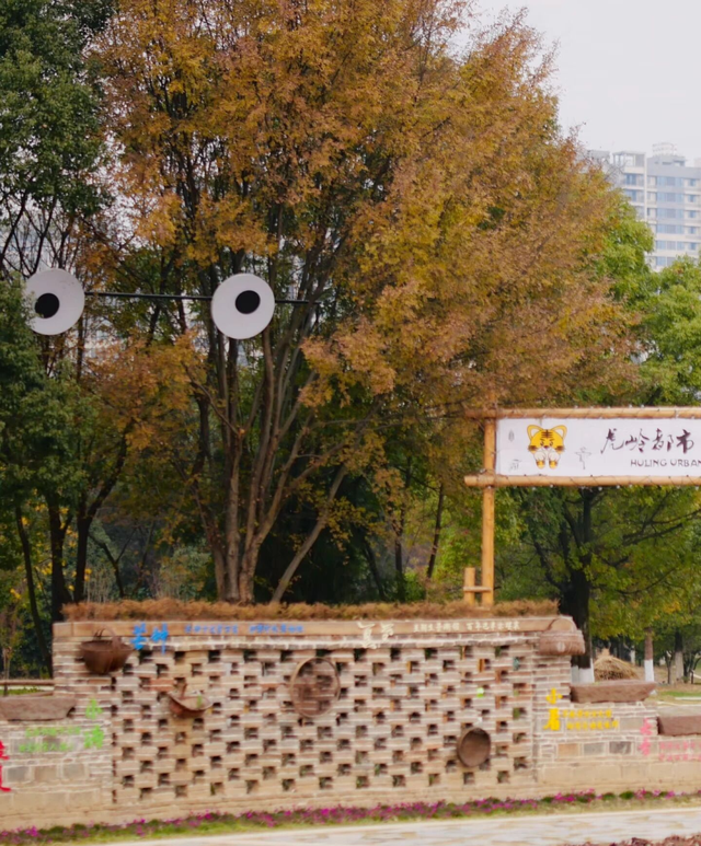 拒绝“冬懒”！鹰潭初冬运动指南：登山、骑行，在风景中唤醒活力【全球学子嘉游赣 奇绝鹰潭逍遥游】