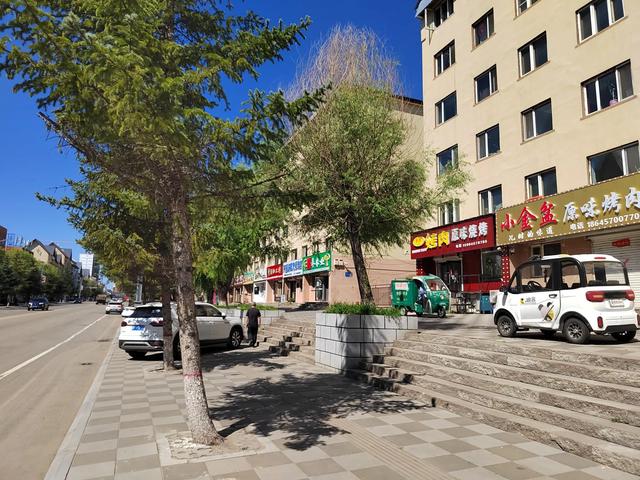 床车游记(黑龙江省大兴安岭地区加格达奇区)