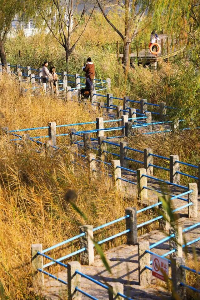 什么？日照这里有一群“小精灵”？！