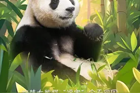 顶流大熊猫“福宝”启程回国！韩国民众冒雨送别，哭肿眼睛图片