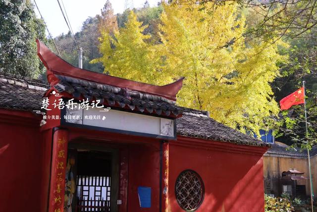 这里不愧是文化名村与景区村庄，银杏与红枫相映，美得一塌糊涂