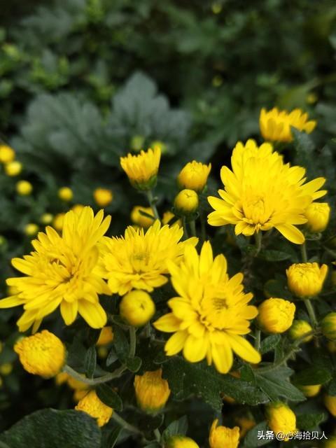 今日爆款文章：《你缺的不是时间，而是心的归处》