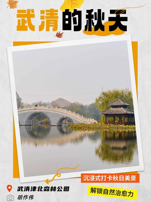 嗨，你的秋天留住了吗？