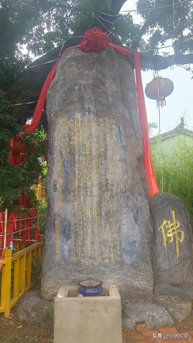 龙潭寺探幽 || 好梦萦回