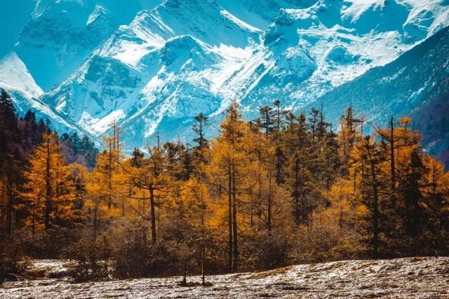 秋色未央，冬韵已至：请欣赏黄龙的限定色卡