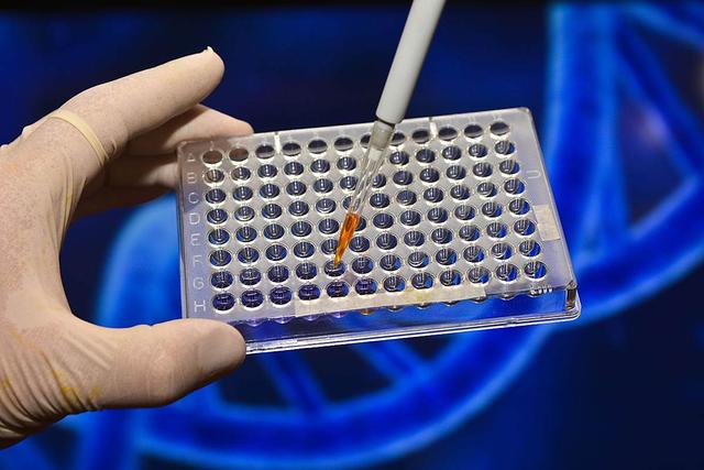 报复来了，高市准备出王牌：半导体制造关键材料，中方别想进口了