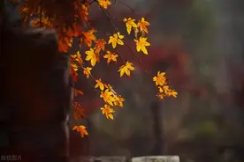 句句大实话！10首诗词全是人情世故，读完感触颇多！图片