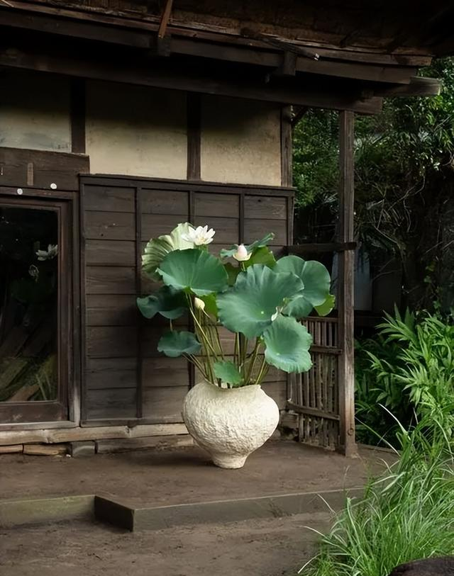 愿得一小院，慰我半生尘
