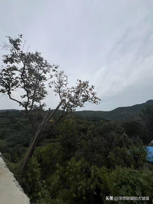 在邹平上回村可以攀爬摩诃峰，但俺没爬，俺买了农家菜打了山泉水
