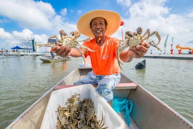 高淳人的哈言四海