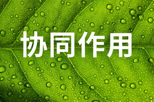 科威特甩手掌柜当定了，300亿交钥匙给中国，美欧只能干瞪眼