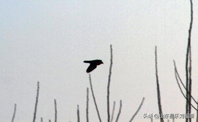 这一次外出闲游感慨颇多