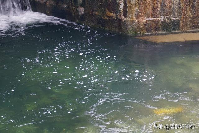 初秋北海公园，赏万佛楼硫华菊花海，和“纯真兔兔”一起荡起双桨