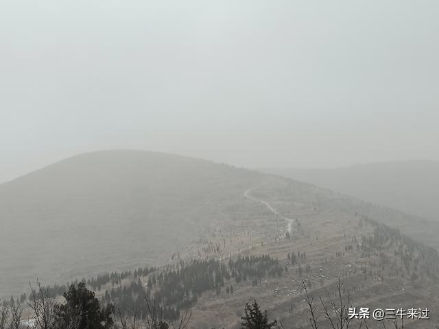 无为在歧路，何处寻雾凇