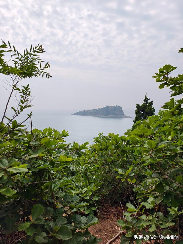 大连海之韵公园·棒槌岛