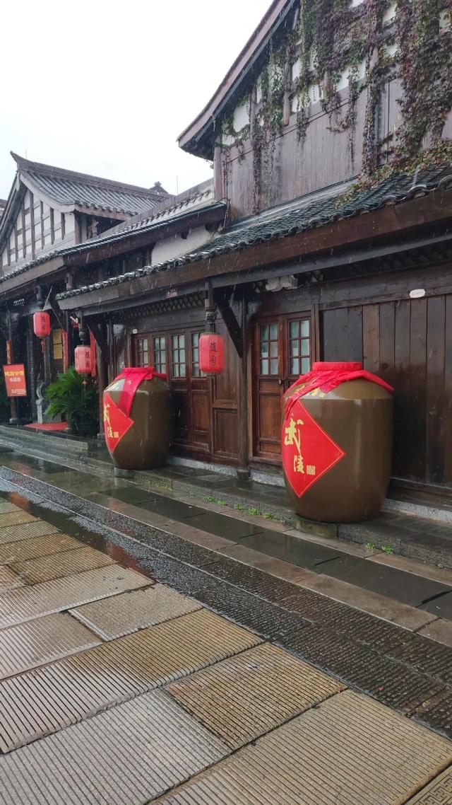 2025北京到海南行程第七天:离湖北过长江进湖南,雨中游“诗墙”