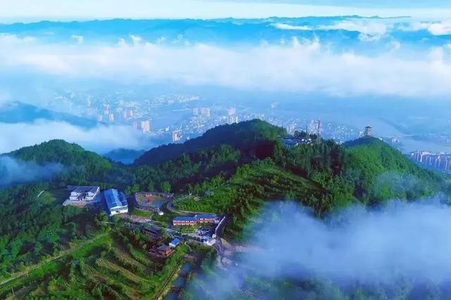 一位仙居人的旺苍情书：从仙居到旺苍，爱你是跨越千里的奔赴！