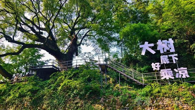 皖浙摩旅二人转——芹川古村篇
