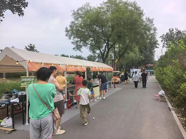 来南森，走进“生命花园”！描绘万物共生的“金彩”律动~