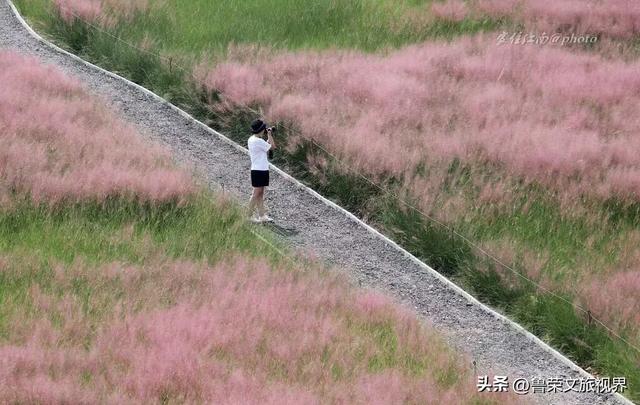 镇江的秋日才是真绝色，三山染彩、古街流韵，连空气都带醋香