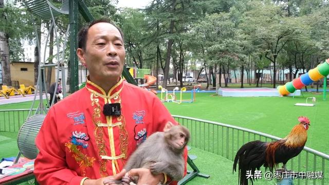 枣庄动物园升级啦!!