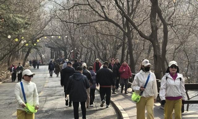 天好景美福利足！千山景区人气爆棚