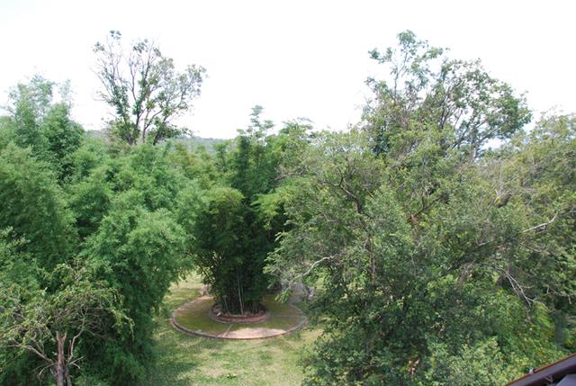 携台湾亲朋自驾游滇西南之十一