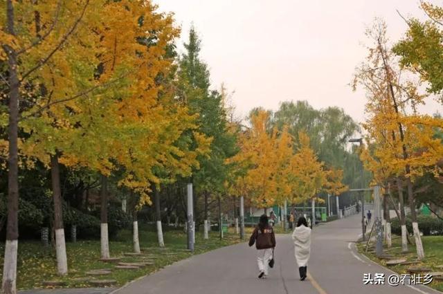 "西安世博园：免费4A级秋色天堂