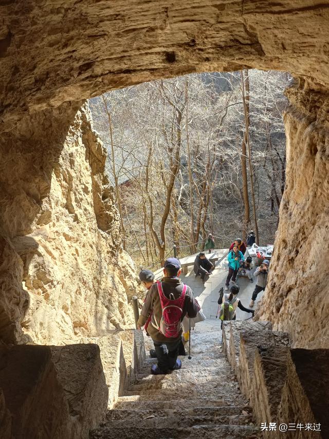 无为在歧路，免费仰天山