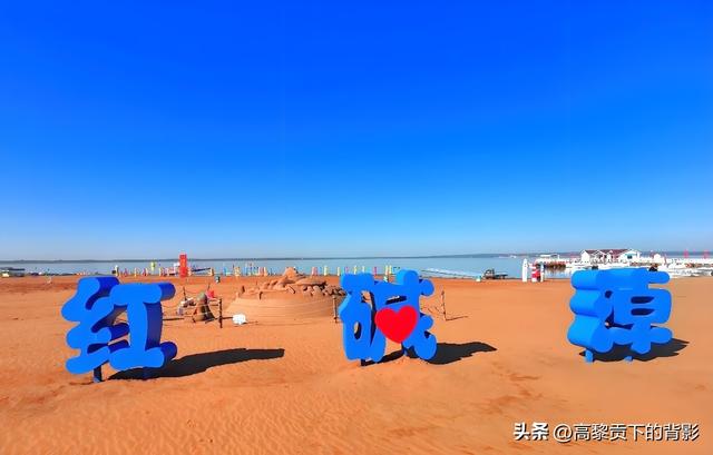 神木之旅：在沙漠中寻找生命的印记