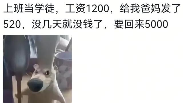 怎么用一句话形容今年工作难？我妈说已经供不起我上班了让我回家