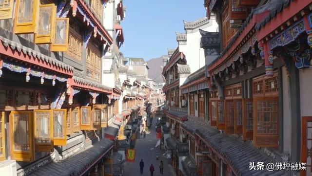 🥕解锁“疯狂动物城”佛坪分城🦊