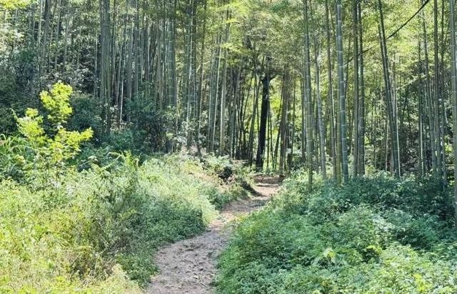 “富阳仙人洞”！又一个山洞火了