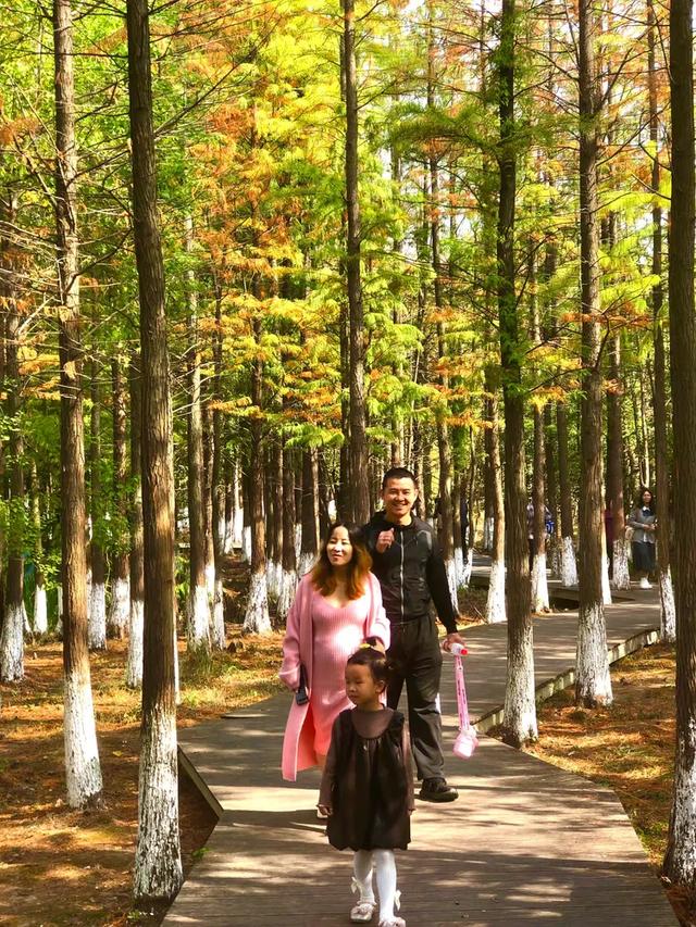 秋色斑斓美如画