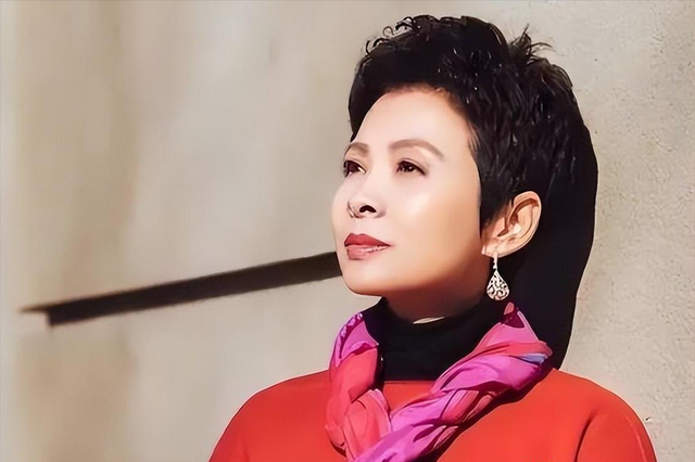 董文华不再沉默，揭露了曾经被“封杀”的原因，原来我们都错怪她
