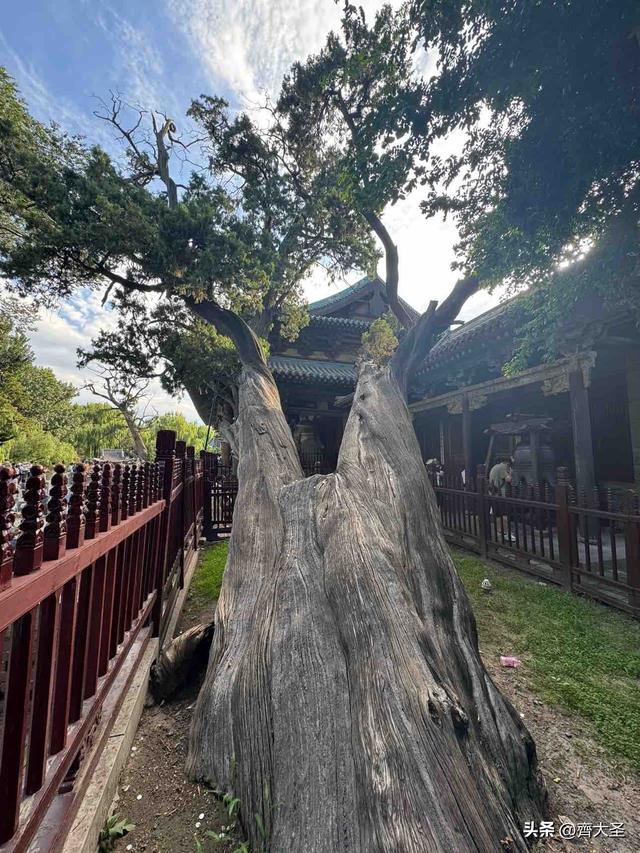 太原一日游精华攻略：从山西博物院到晋祠