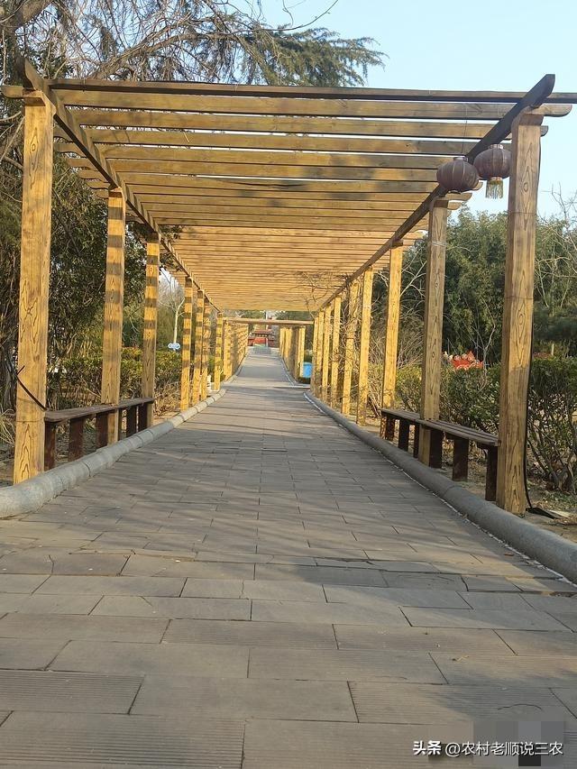 2026村巡察风暴：直击基层腐败七寸，农民的钱袋子这回有人守了！