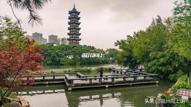 温州这座出土了众多国宝的“宝藏古镇”，能否成为下一个梧田老街