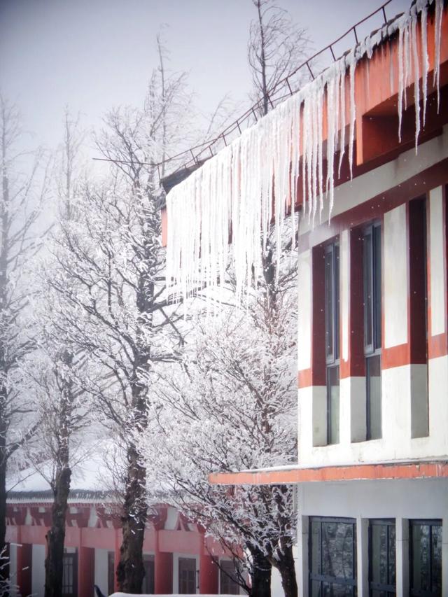 又来？这样的随州，你见没见过？