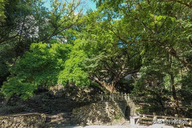 走遍福建古村落，福安发现一处真正的世外桃源，一眼可见九条瀑布