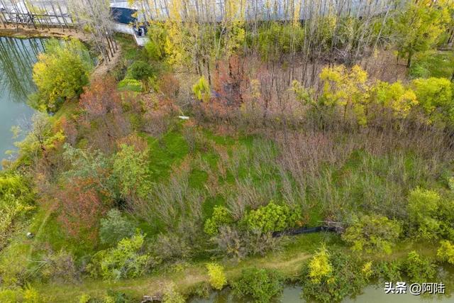 随着旁边五星级酒店的破产重组,这个公园也逐渐没落,被丽江遗忘