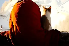 10幅治愈人心的佛家楹联！ ​句句禅意，领悟人生大智慧。图片