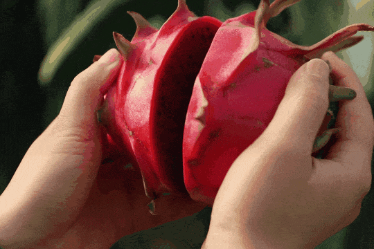 长三角果香正浓！快到这些当季采摘点位探“鲜”吧~