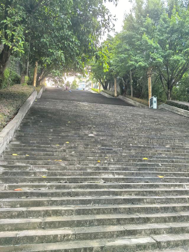 云阳县登天梯记：欲上山顶虽然累，无限风光在梯顶