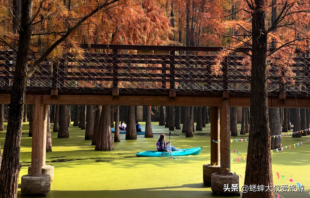 杭州“油画版景点”爆火，一天5万人次，可喂鹿，划船，走栈道！