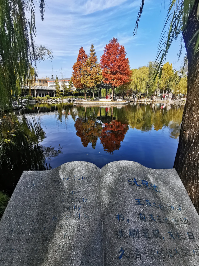 临沂「红杉」「红枫」浓度拉满，出片率100%