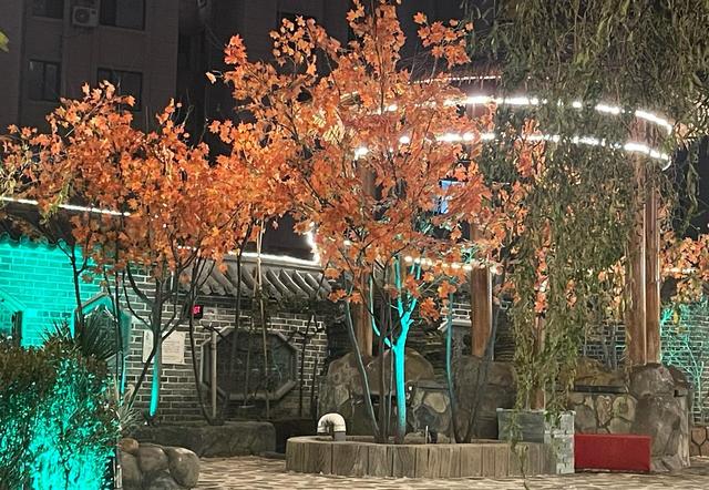 阜新五星级酒店温泉，二十个池子两个泳池，夜场竟然只要58元