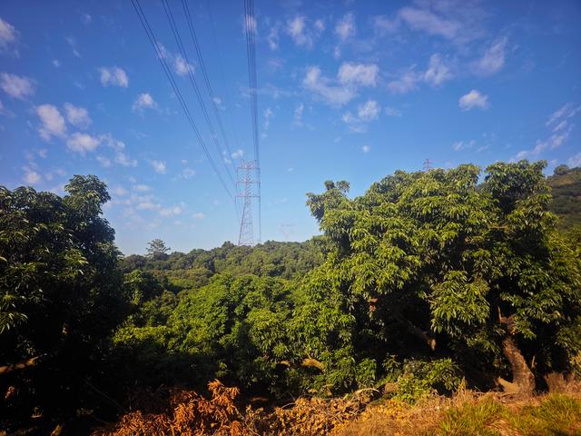 从丽康路穿荔园溪谷至西丽湖绿道骑行随拍