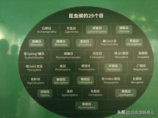 第一次去国家自然博物馆，水族馆和恐龙乐园是8岁孩子的最爱
